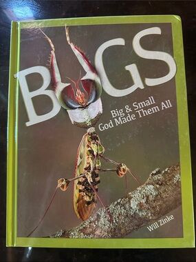 Bugs: Big & Small God Made Them All - Master Books